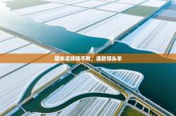 国米连续场不败，追赶领头羊