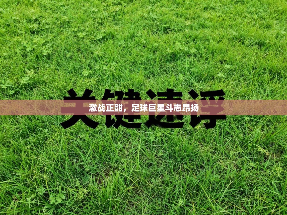 激战正酣，足球巨星斗志昂扬  第2张