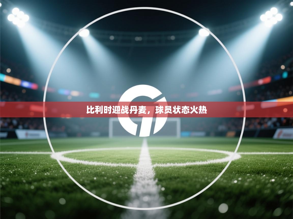 比利时迎战丹麦,球员状态火热 第2张