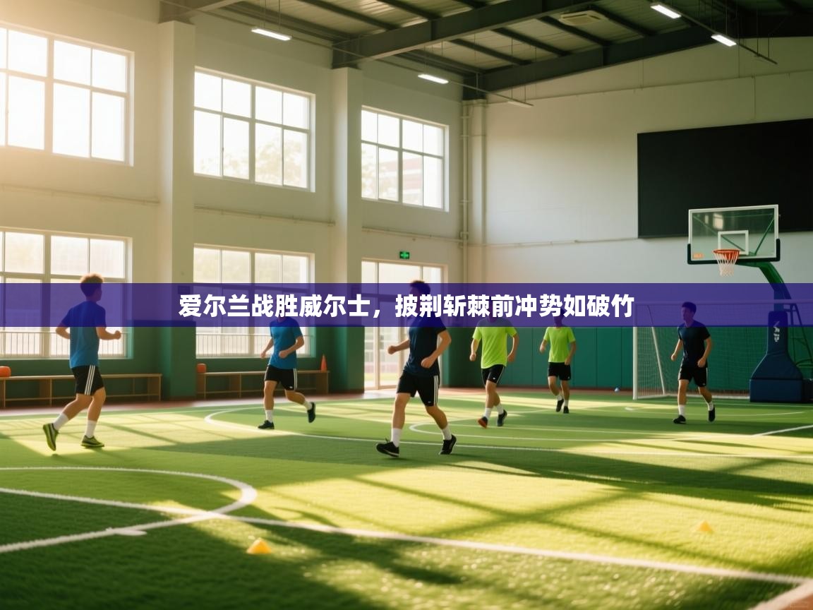 爱尔兰战胜威尔士,披荆斩棘前冲势如破竹 第1张