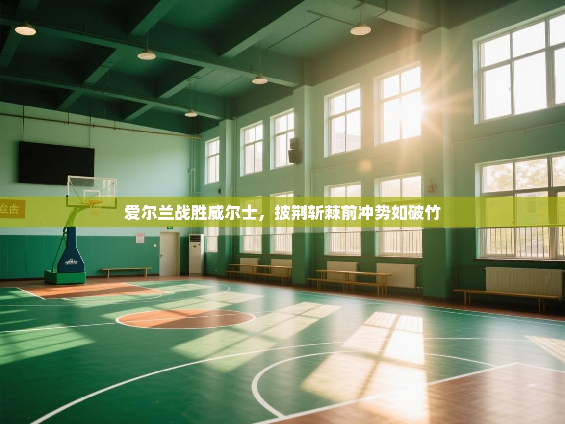 爱尔兰战胜威尔士,披荆斩棘前冲势如破竹 第2张