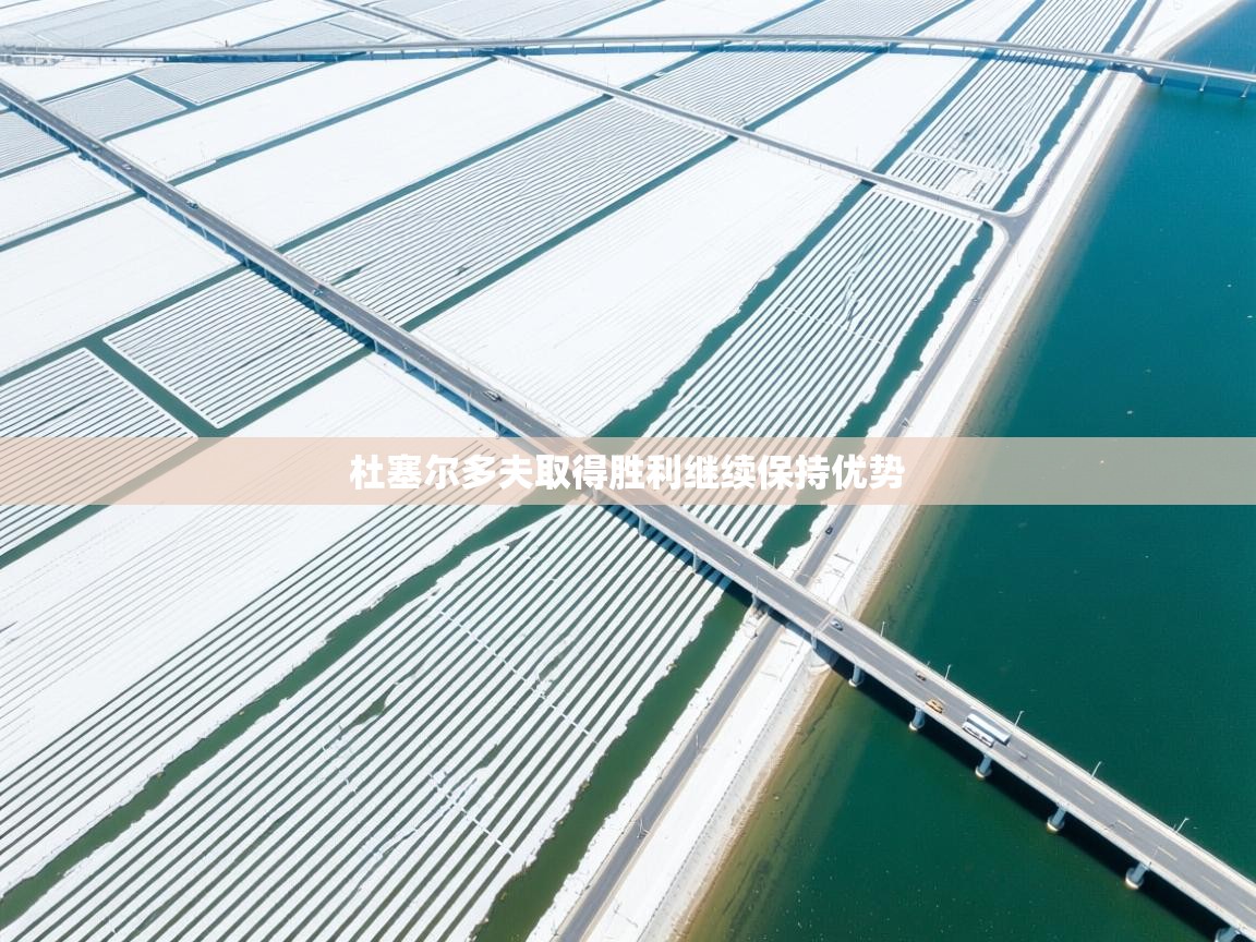 杜塞尔多夫取得胜利继续保持优势  第2张