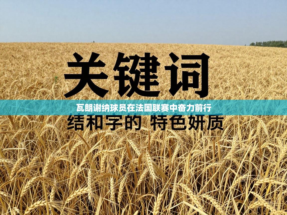 瓦朗谢纳球员在法国联赛中奋力前行 第1张