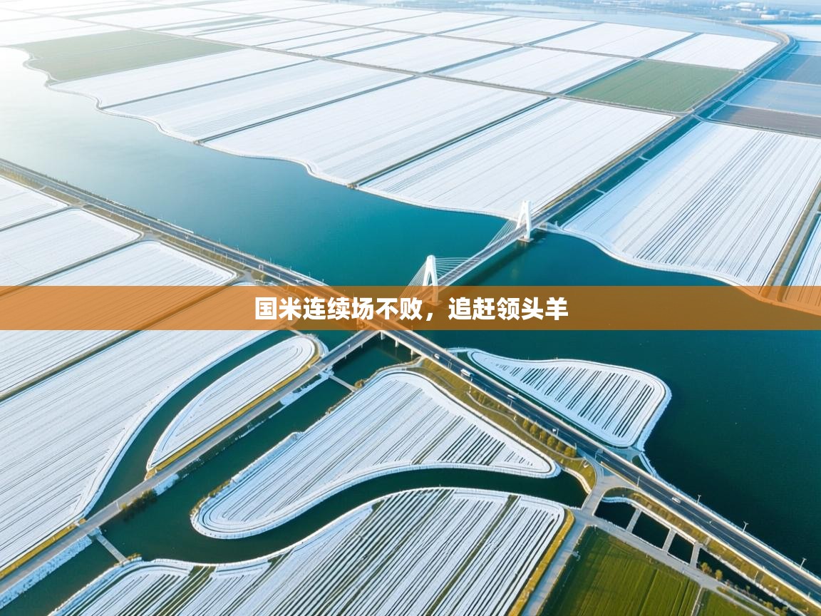 国米连续场不败，追赶领头羊  第1张