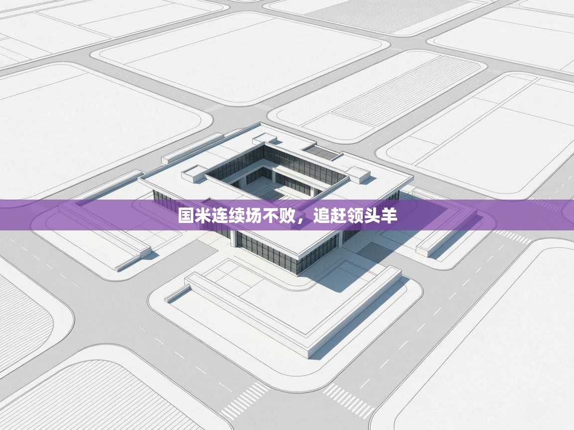 国米连续场不败，追赶领头羊  第2张