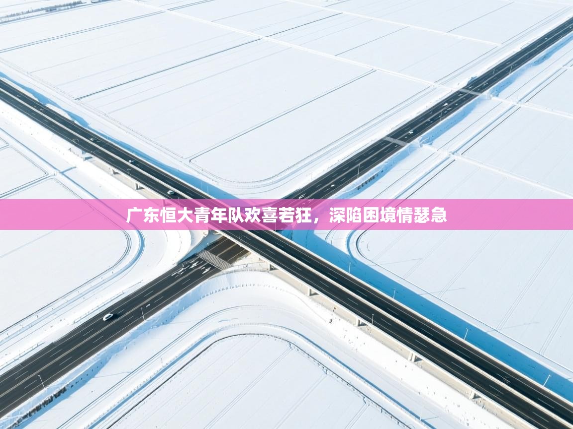 广东恒大青年队欢喜若狂,深陷困境情瑟急 第1张