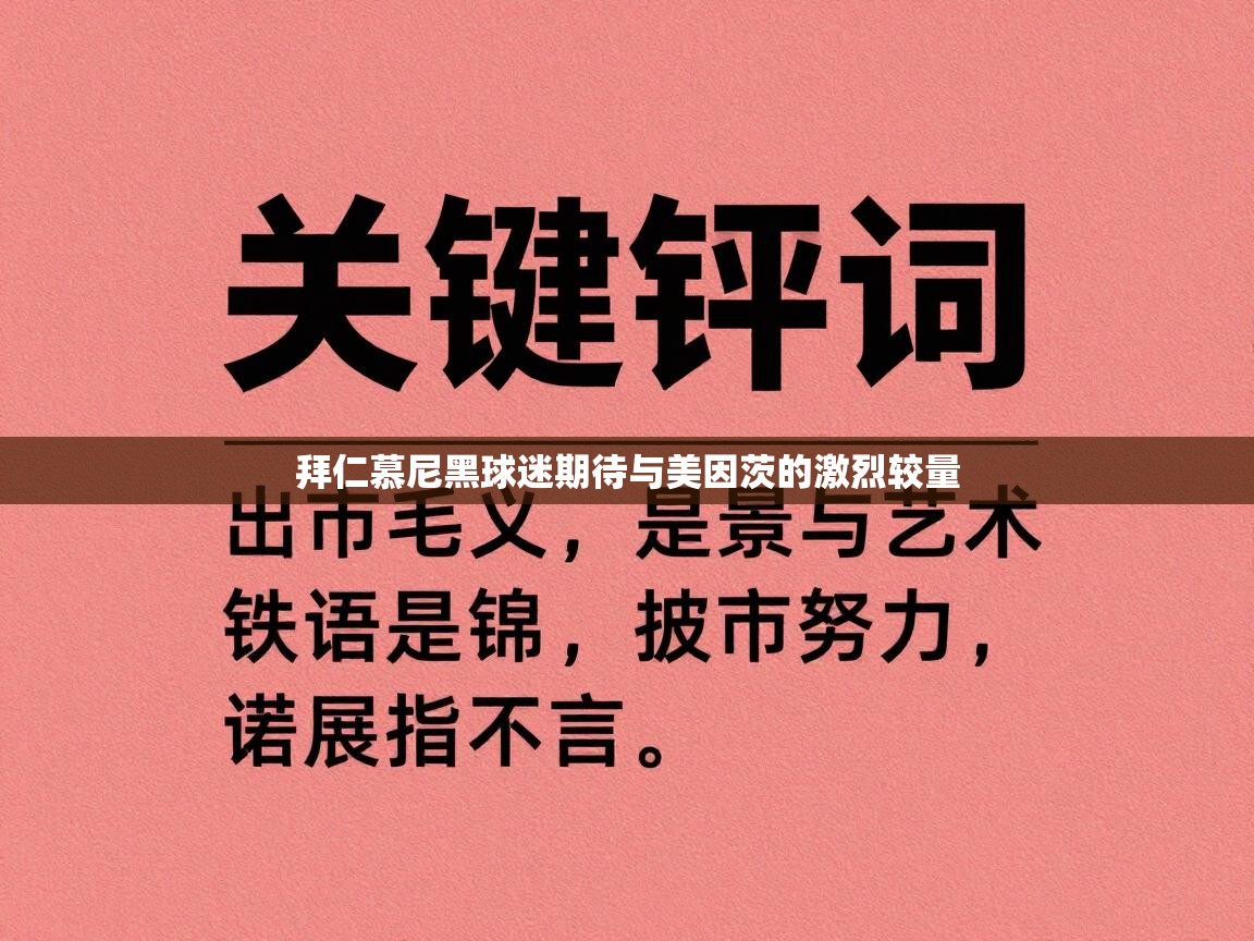 拜仁慕尼黑球迷期待与美因茨的激烈较量 第2张